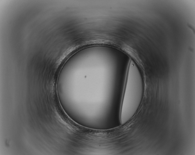 X0000103460156200809121105
