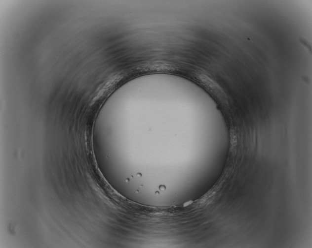 X0000103460158200809121105