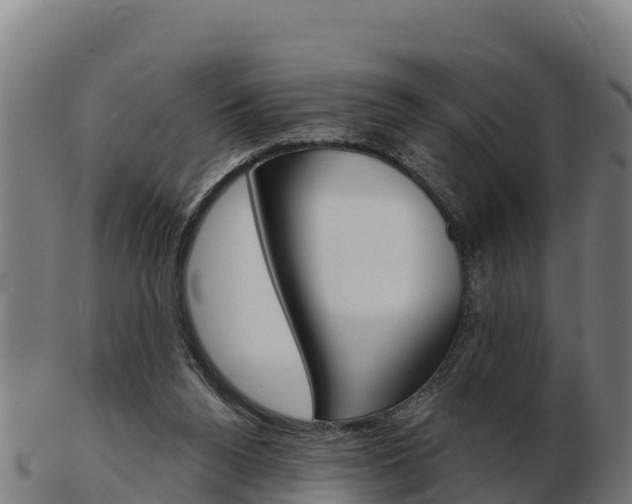 X0000103460160200809121105