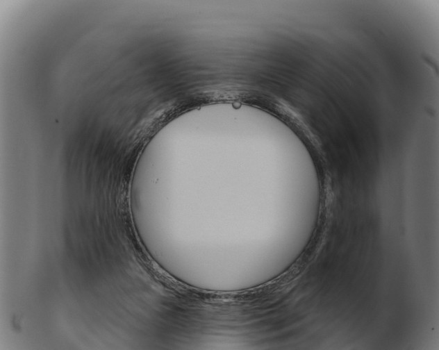 X0000103460161200809121105