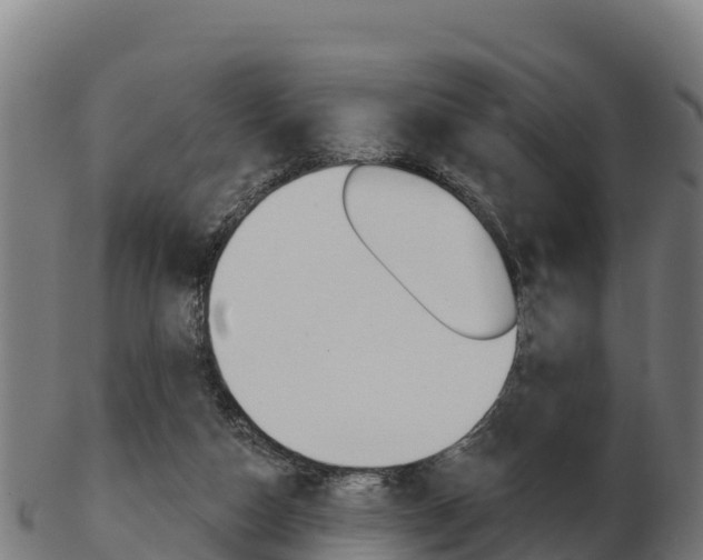 X0000103460162200809121105