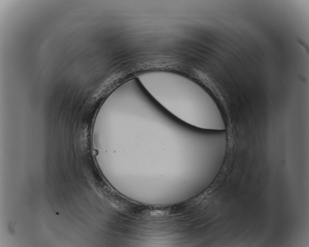 X0000103460163200809121105