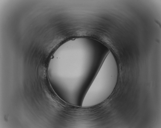 X0000103460164200809121105