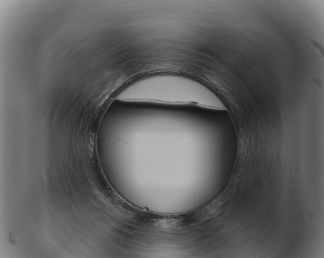 X0000103460168200809121105