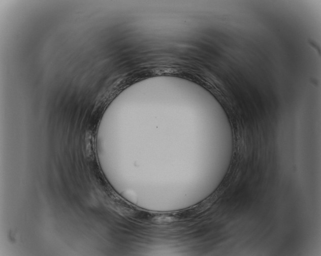 X0000103460169200809121105