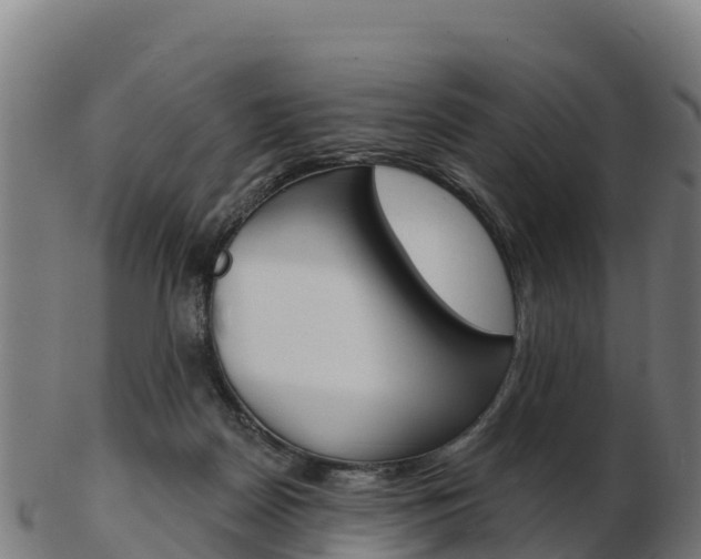 X0000103460170200809121105