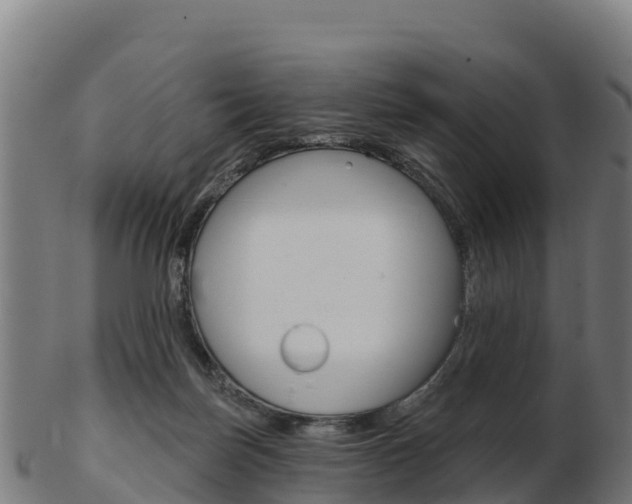 X0000103460171200809121105