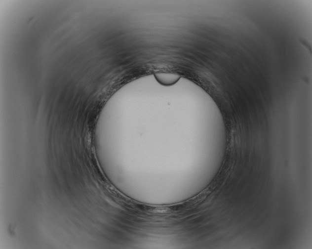 X0000103460173200809121105