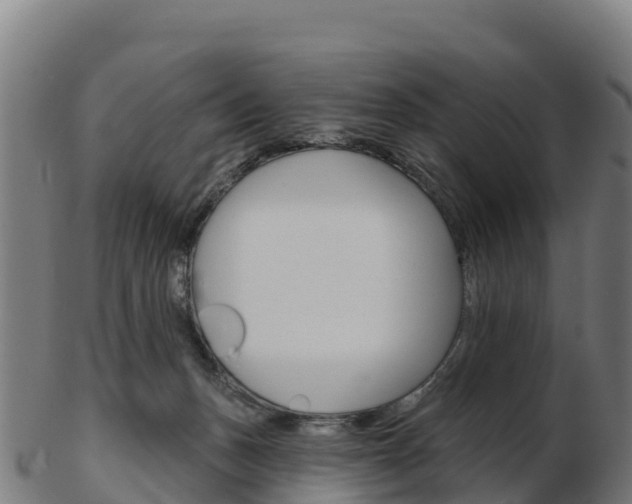 X0000103460175200809121105