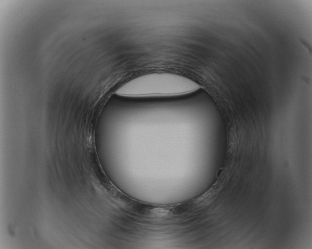 X0000103460176200809121105