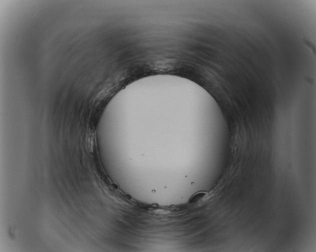 X0000103460180200809121105