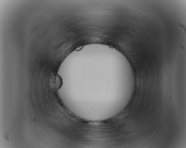 X0000103460181200809121105