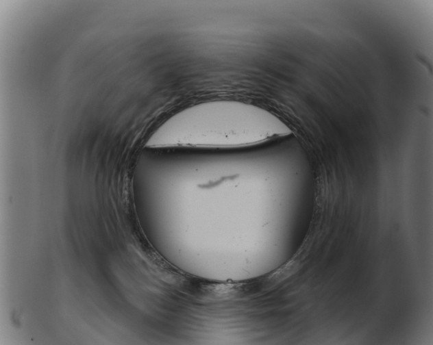 X0000103460184200809121106