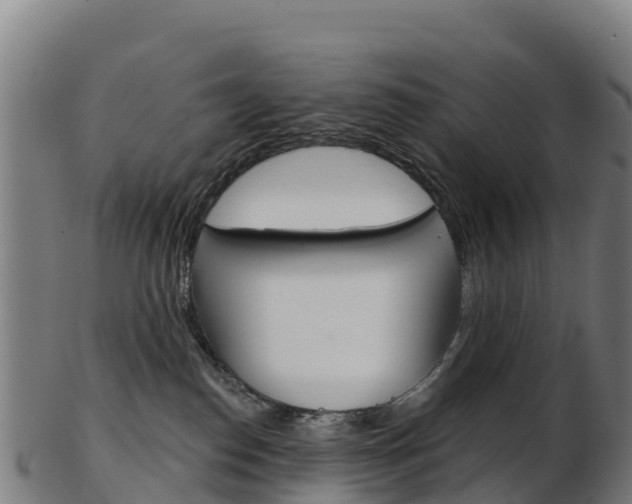 X0000103460186200809121106