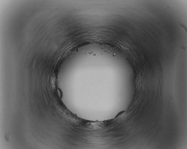 X0000103460188200809121106