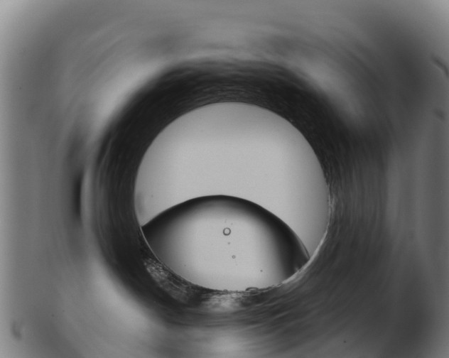 X0000103460190200809121106