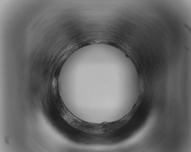 X0000103460191200809121106