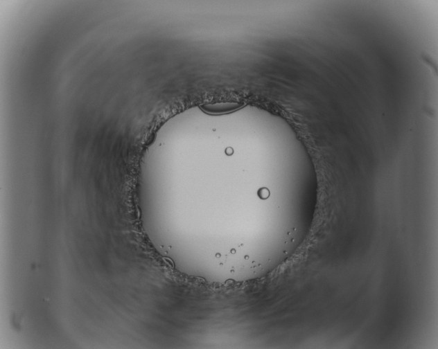 X0000103460192200809121106