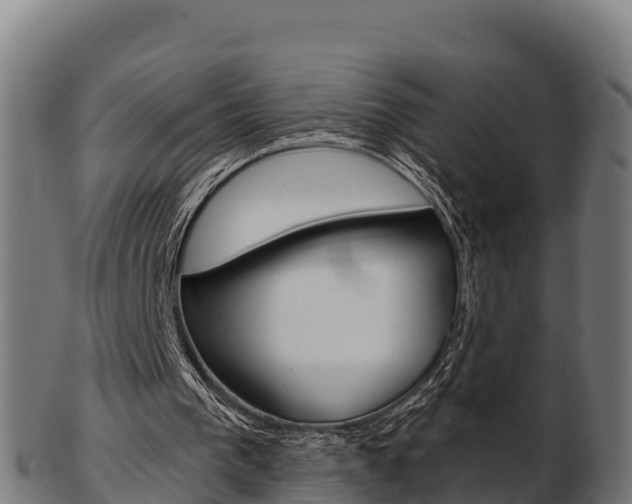 X0000103460193200809121105