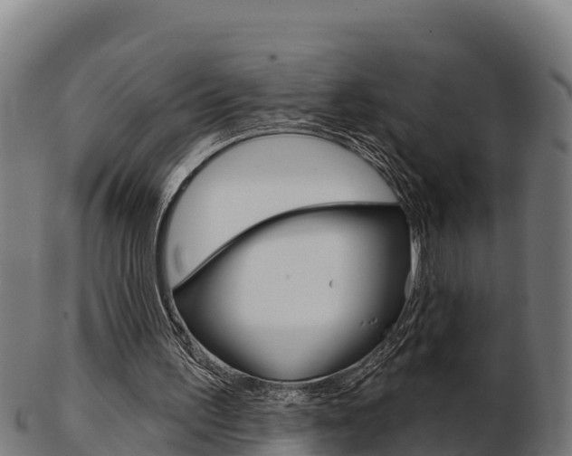 X0000103460195200809121105