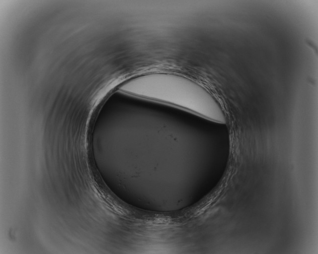 X0000103460196200809121105
