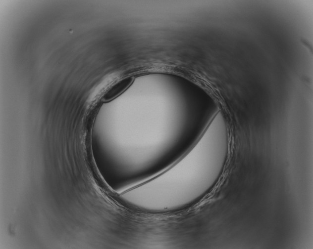 X0000103460197200809121105