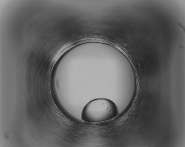X0000103460199200809121105