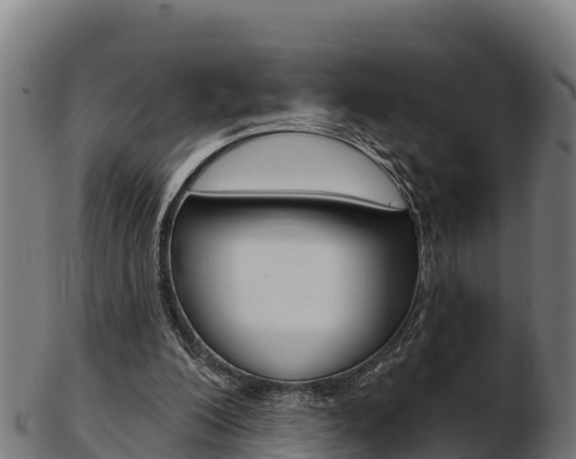X0000103460200200809121105