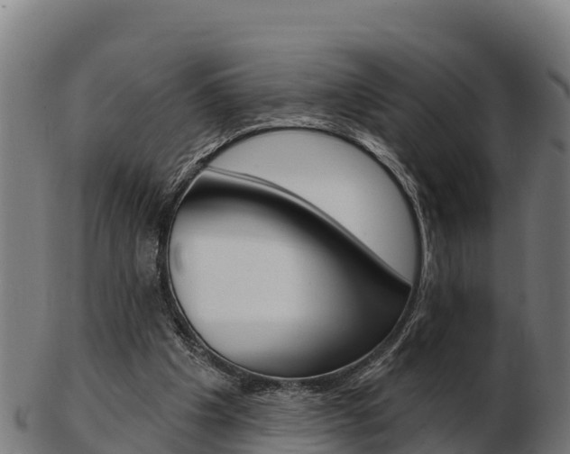 X0000103460201200809121105
