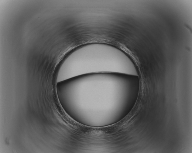 X0000103460203200809121105