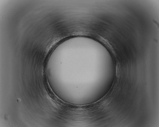 X0000103460204200809121105