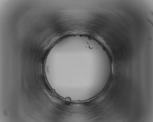 X0000103460205200809121105