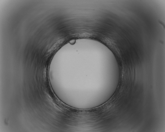 X0000103460206200809121105