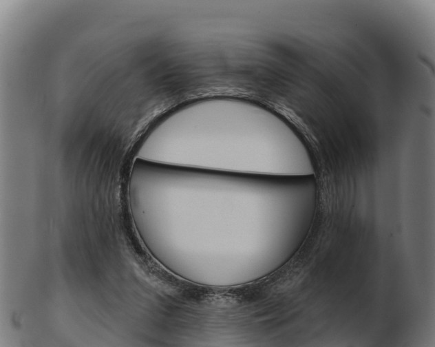 X0000103460207200809121105