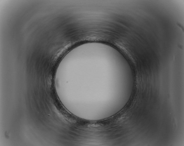X0000103460208200809121105