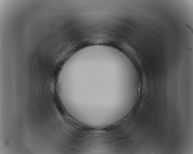 X0000103460210200809121105