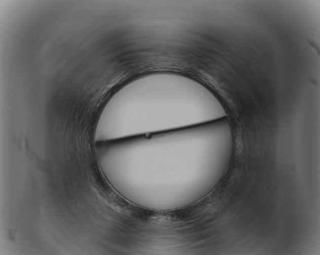 X0000103460211200809121105