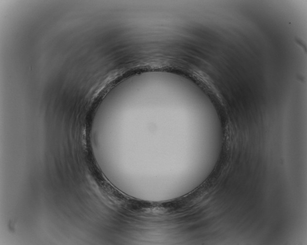 X0000103460212200809121105