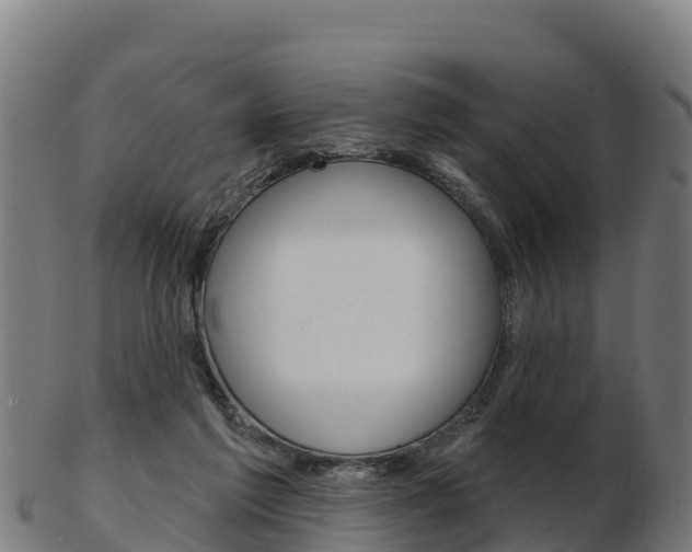 X0000103460213200809121105