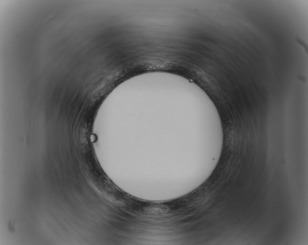 X0000103460215200809121105