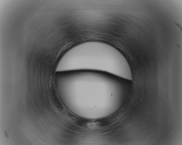 X0000103460216200809121105