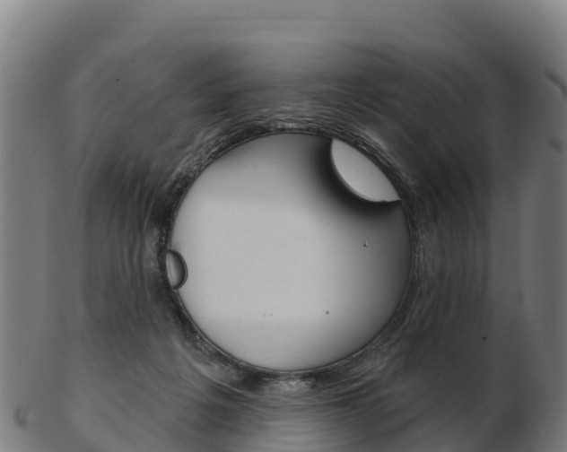 X0000103460217200809121105