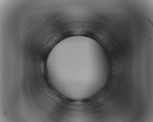 X0000103460219200809121105
