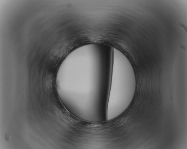 X0000103460221200809121105
