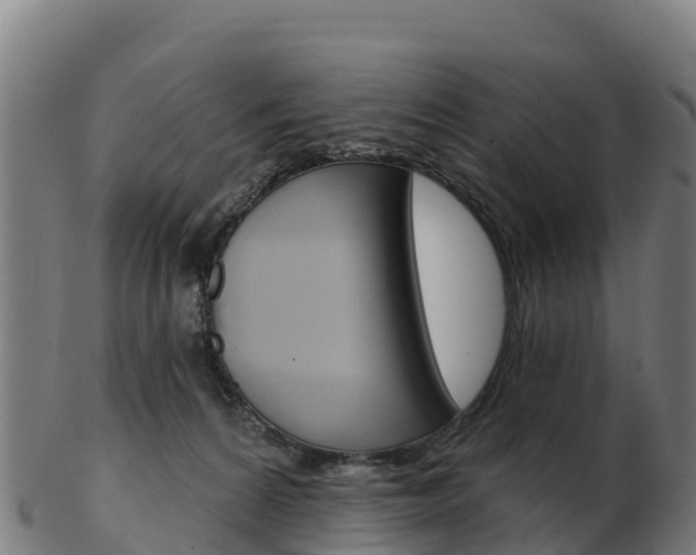 X0000103460224200809121105