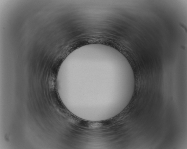 X0000103460226200809121105