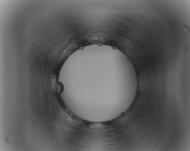 X0000103460231200809121104
