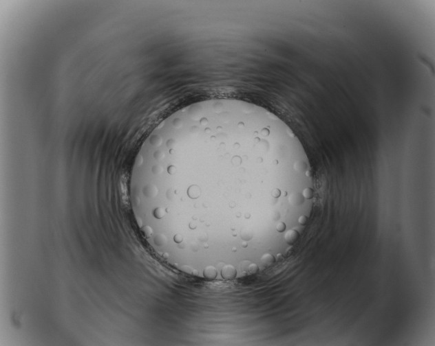 X0000103460238200809121104