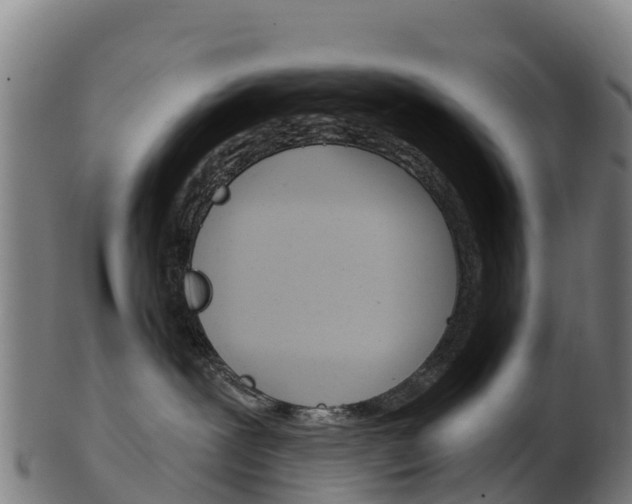 X0000103460239200809121104