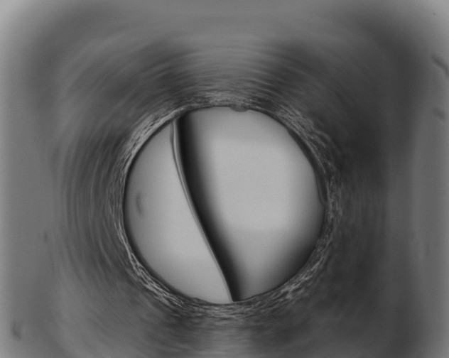 X0000103460241200809121103
